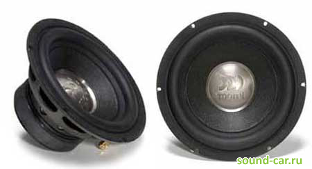 - Morel Primo 804